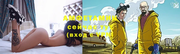 твердый Инта