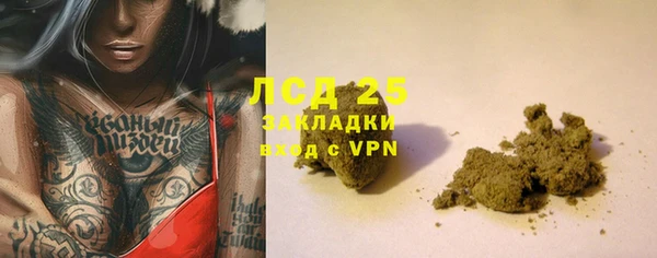 твердый Инта