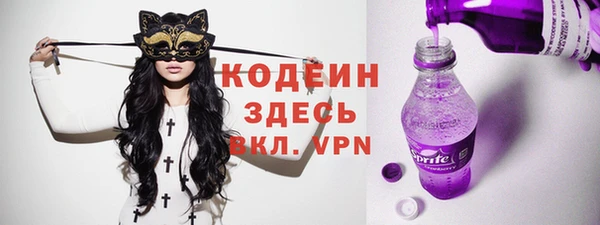 твердый Инта