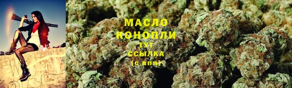 твердый Инта