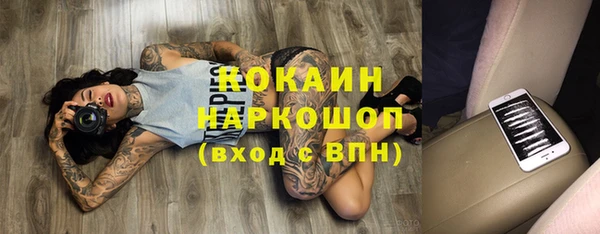 твердый Инта
