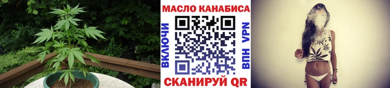 Купить где Знаменск ТГК гашишное масло